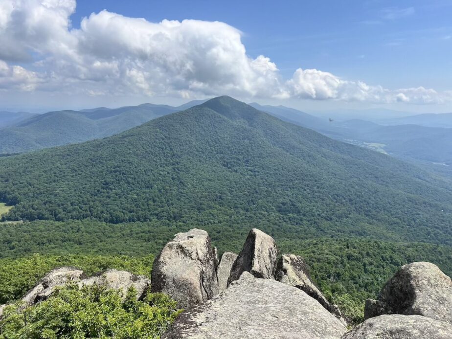 Green mountain views from Sharp Top.